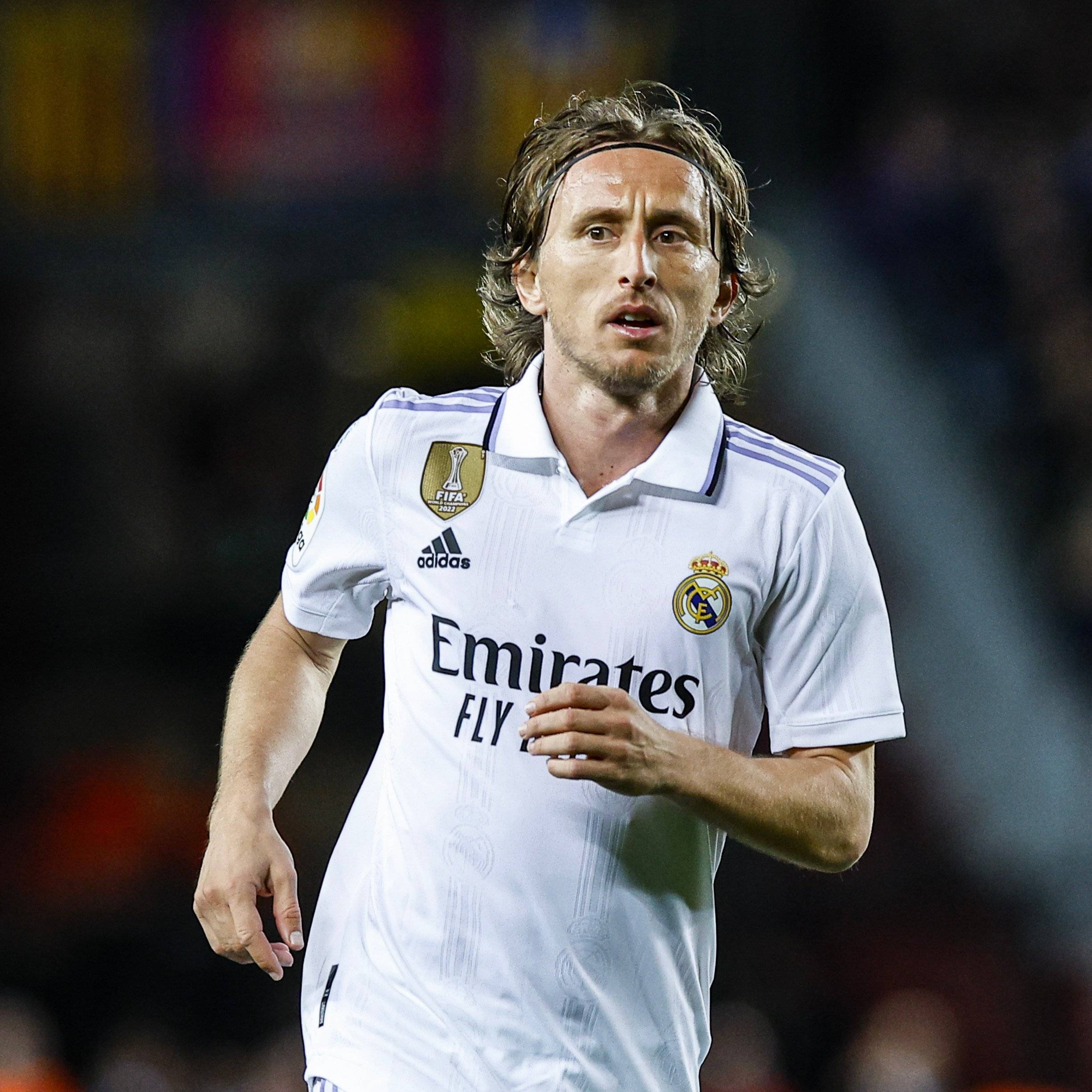 汇聚国内顶尖骑手！这场马术巅峰赛将在桐庐举行（桐庐上演马术巅峰对决，国内顶尖骑手齐聚）